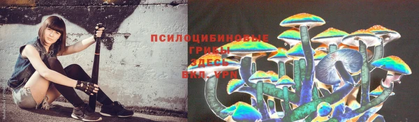 экстази Михайловка