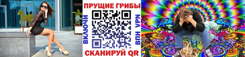 Галлюциногенные грибы Cubensis  Нерчинск 